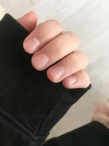 תמונת ביקורת 2