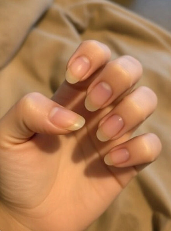 תמונת ביקורת